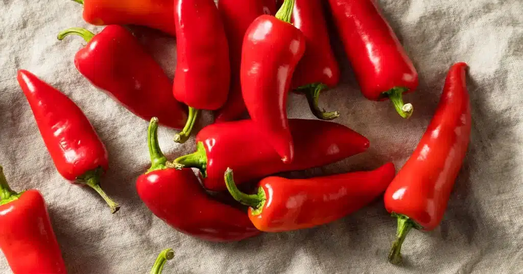 Capsaicina rimedio naturale psoriasi